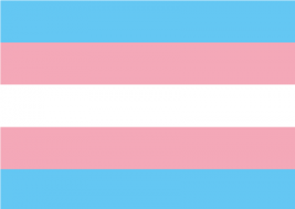 Trans-Pride-Artikel