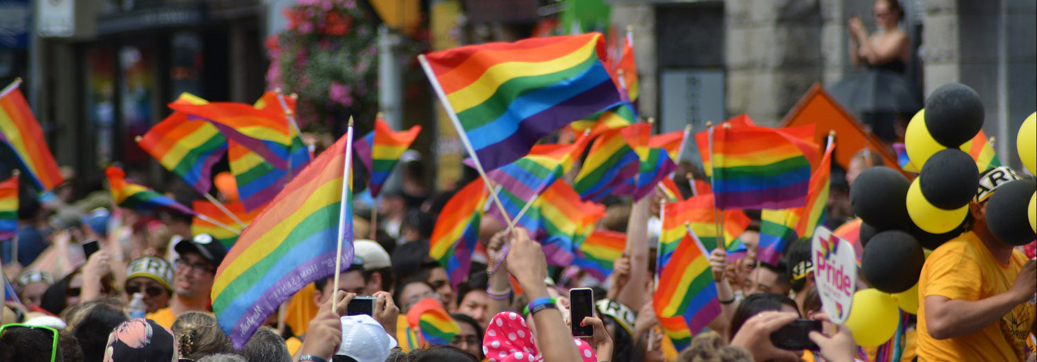 Bild eines CSD Pride-Umzugs mit vielen Flaggen und Menschen.