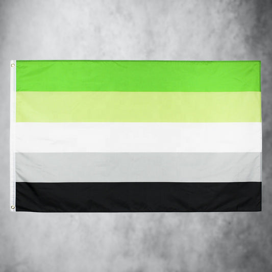 Aromantische Flagge (90x150 cm)