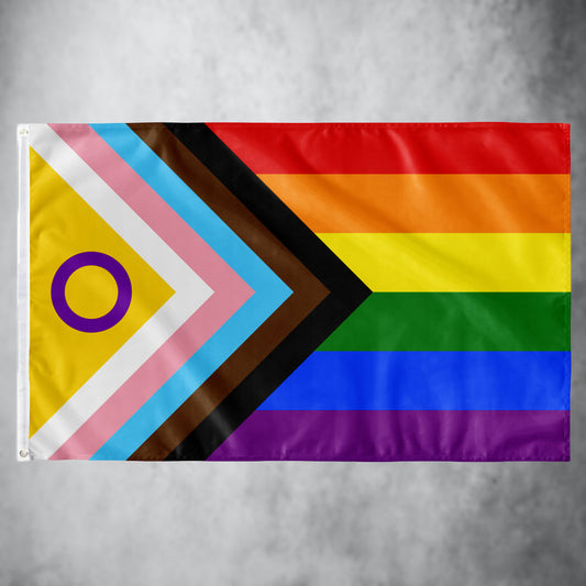 Progress Pride Flagge (NEW) | (90x150 cm)