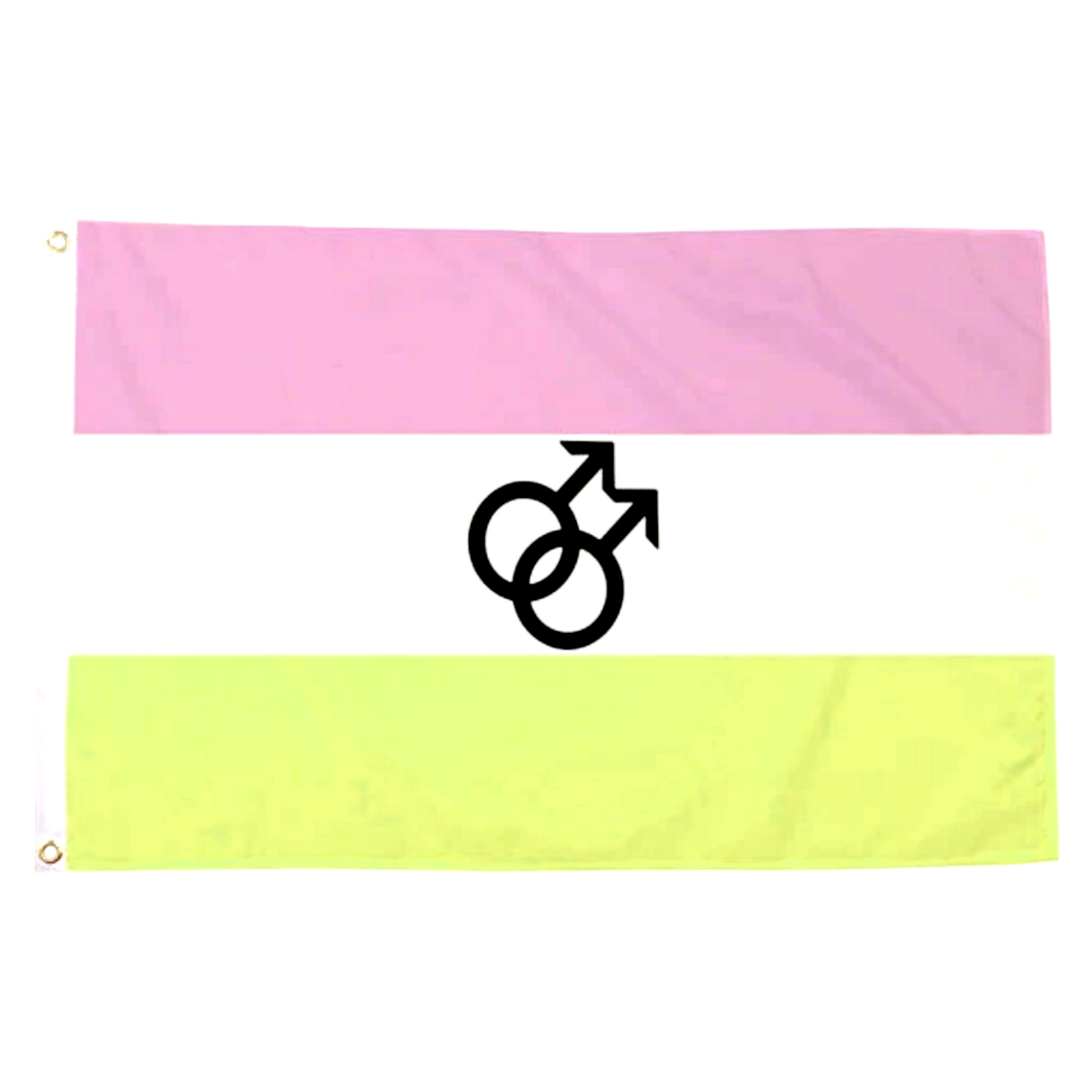 Twink Pride Flagge (90x150 cm)
