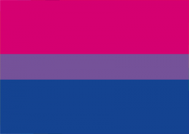Bisexuelle Pride-Artikel
