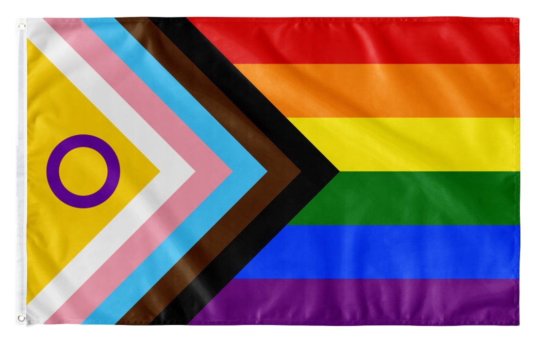 Progress Pride Flagge (NEW) | (90x150 cm)